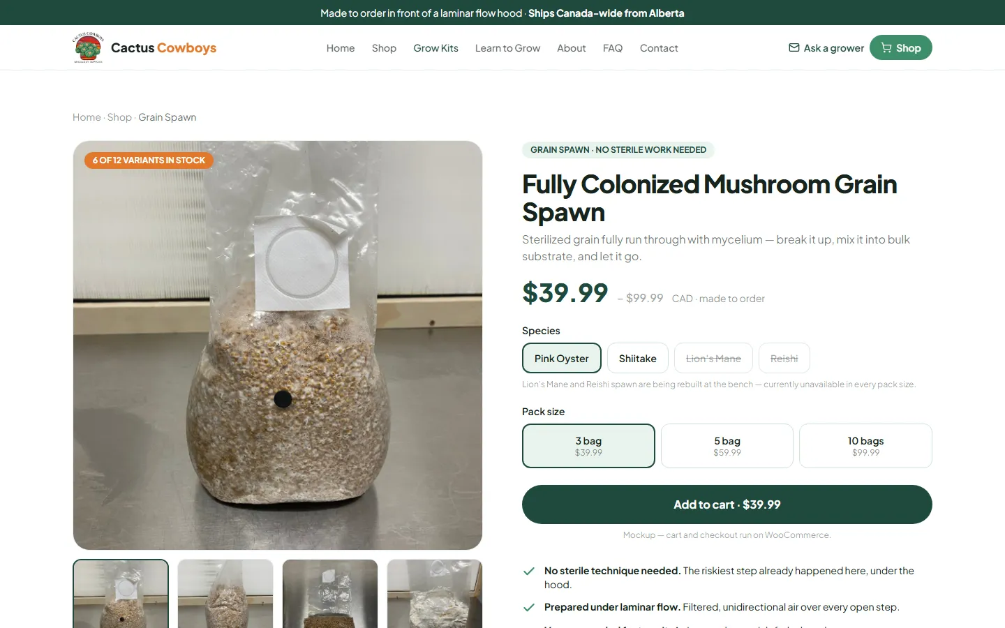 Cactus Cowboys Mycology — product