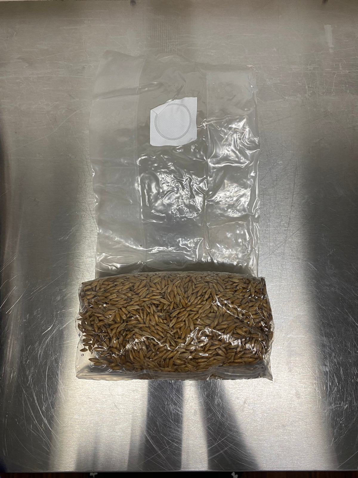 Sterilized grain bags on the bench