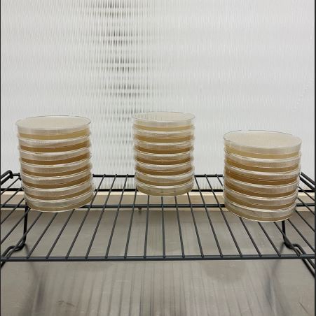 Agar plates